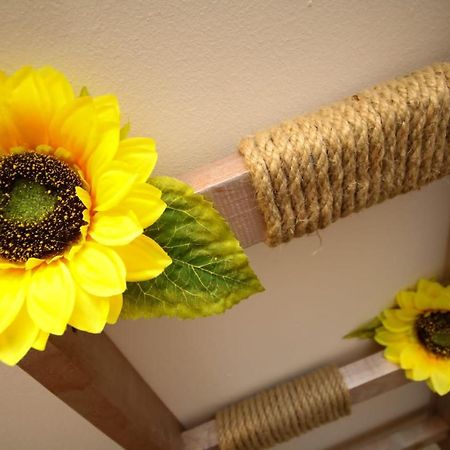 Sunrise Studio Timișoara Zewnętrze zdjęcie