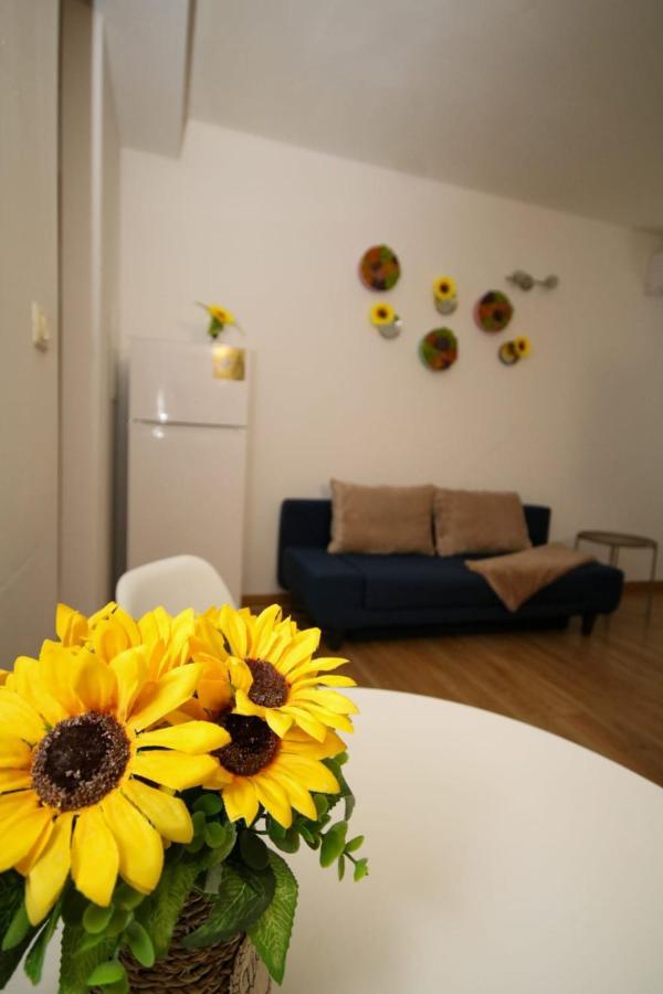 Sunrise Studio Timișoara Zewnętrze zdjęcie