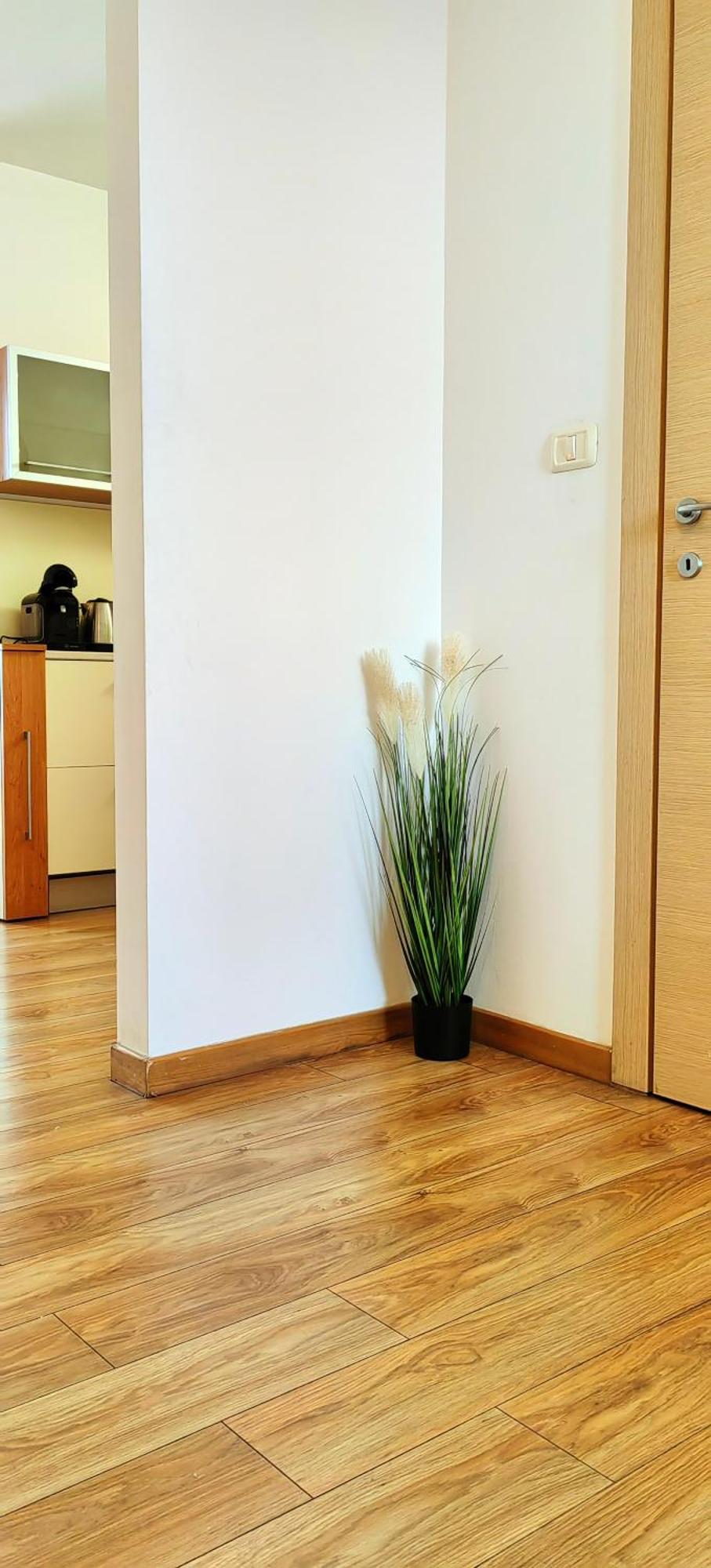 Sunrise Studio Timișoara Zewnętrze zdjęcie